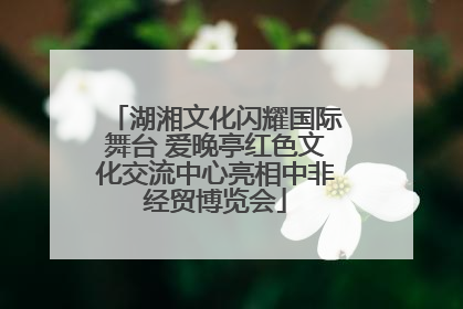 湖湘文化闪耀国际舞台 爱晚亭红色文化交流中心亮相中非经贸博览会