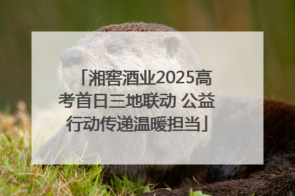 湘窖酒业2025高考首日三地联动 公益行动传递温暖担当
