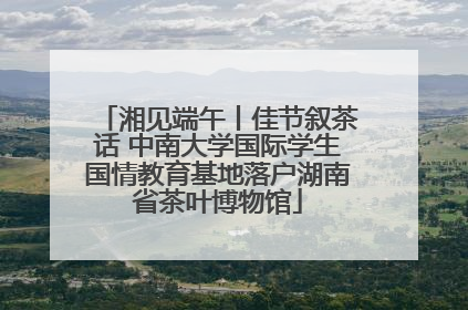 湘见端午丨佳节叙茶话 中南大学国际学生国情教育基地落户湖南省茶叶博物馆