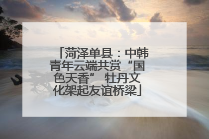 菏泽单县：中韩青年云端共赏“国色天香” 牡丹文化架起友谊桥梁