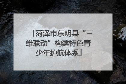 菏泽市东明县“三维联动”构建特色青少年护航体系
