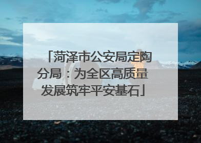 菏泽市公安局定陶分局：为全区高质量发展筑牢平安基石