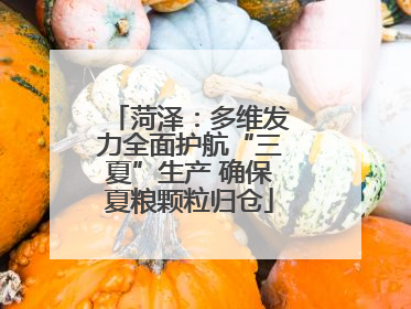 菏泽：多维发力全面护航“三夏”生产 确保夏粮颗粒归仓
