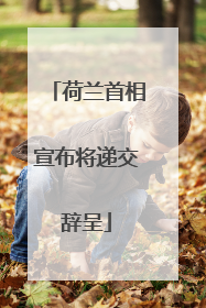 荷兰首相宣布将递交辞呈