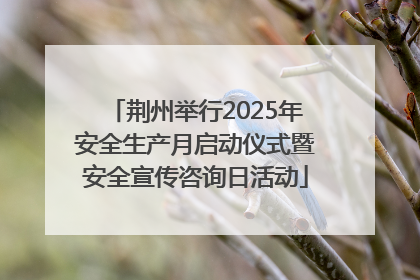荆州举行2025年安全生产月启动仪式暨安全宣传咨询日活动