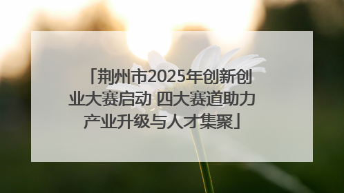 荆州市2025年创新创业大赛启动 四大赛道助力产业升级与人才集聚