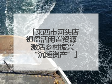 莱西市河头店镇盘活闲置资源 激活乡村振兴“沉睡资产”