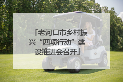 老河口市乡村振兴“四项行动”建设推进会召开