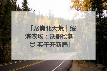 聚焦北大荒｜绥滨农场：沃野绘新景 实干开新局