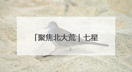 聚焦北大荒｜七星分公司“四个强化”筑牢防汛减灾屏障