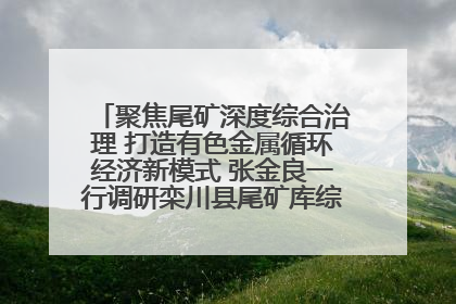 聚焦尾矿深度综合治理 打造有色金属循环经济新模式 张金良一行调研栾川县尾矿库综合治理工作