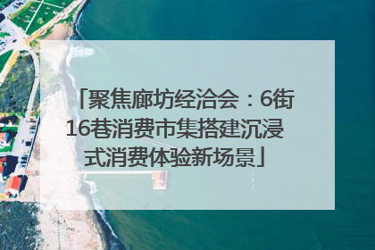 聚焦廊坊经洽会：6街16巷消费市集搭建沉浸式消费体验新场景