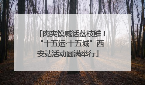 肉夹馍喊话荔枝鲜！“十五运·十五城”西安站活动圆满举行