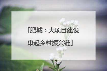 肥城：大项目建设串起乡村振兴链