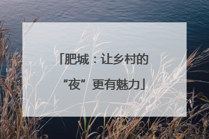肥城：让乡村的“夜”更有魅力