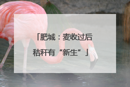 肥城：麦收过后秸秆有“新生”