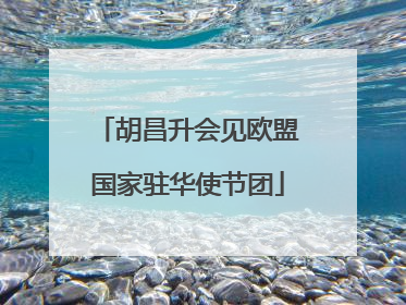 胡昌升会见欧盟国家驻华使节团