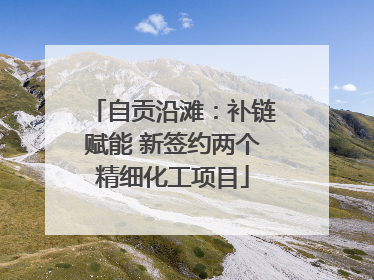 自贡沿滩：补链赋能 新签约两个精细化工项目