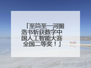 至简至一河图洛书斩获数字中国人工智能大赛全国二等奖！