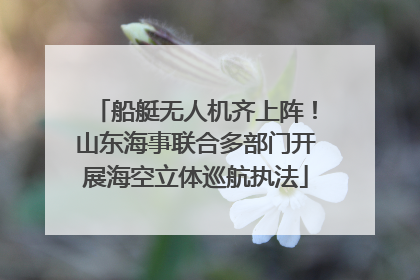船艇无人机齐上阵！山东海事联合多部门开展海空立体巡航执法