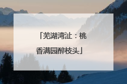 芜湖湾沚：桃香满园醉枝头