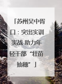 苏州吴中胥口：突出实训实战 助力年轻干部“壮苗抽穗”