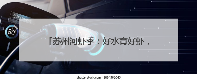 苏州河虾季：好水育好虾，文旅融合绘就“舌尖江南”