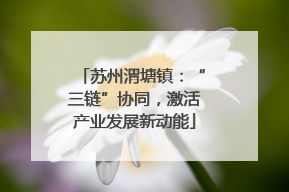 苏州渭塘镇：“三链”协同，激活产业发展新动能