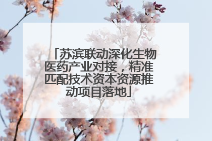 苏滨联动深化生物医药产业对接，精准匹配技术资本资源推动项目落地