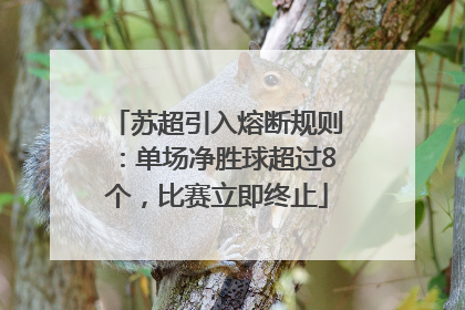 苏超引入熔断规则：单场净胜球超过8个，比赛立即终止