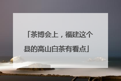 茶博会上，福建这个县的高山白茶有看点