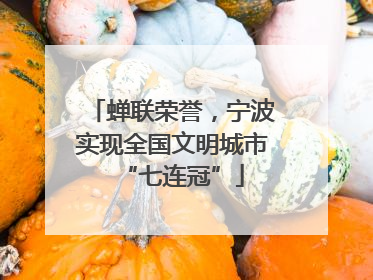 蝉联荣誉，宁波实现全国文明城市“七连冠”