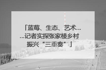蓝莓、生态、艺术……记者实探张家楼乡村振兴“三重奏”