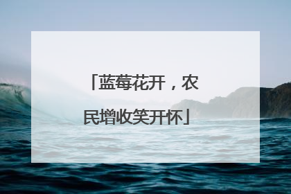 蓝莓花开，农民增收笑开怀