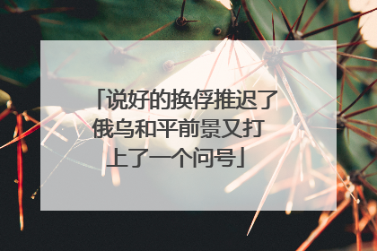 说好的换俘推迟了 俄乌和平前景又打上了一个问号