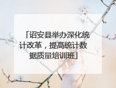 诏安县举办深化统计改革，提高统计数据质量培训班