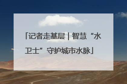 记者走基层｜智慧“水卫士”守护城市水脉