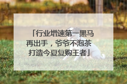 行业增速第一黑马再出手，爷爷不泡茶打造今夏复购王者