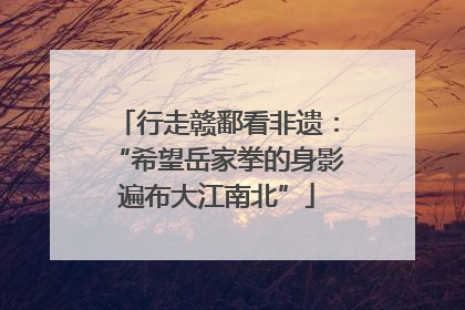 行走赣鄱看非遗：“希望岳家拳的身影遍布大江南北”