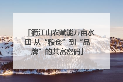 衢江山农赋能万亩水田 从“粮仓”到“品牌”的共富密码