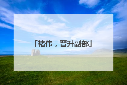 褚伟，晋升副部
