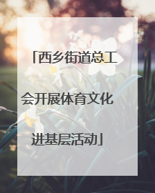 西乡街道总工会开展体育文化进基层活动