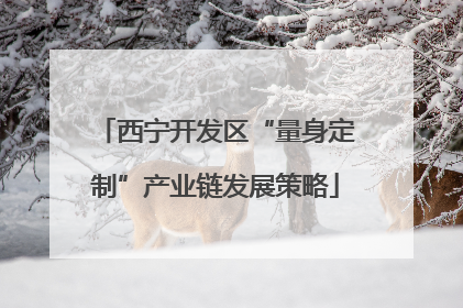 西宁开发区“量身定制”产业链发展策略