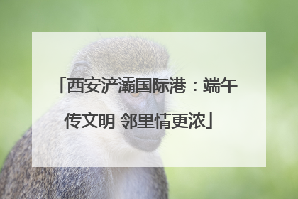 西安浐灞国际港：端午传文明 邻里情更浓