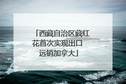 西藏自治区藏红花首次实现出口 远销加拿大