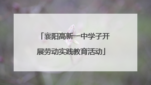 襄阳高新一中学子开展劳动实践教育活动
