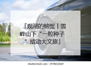 观潮的螃蟹丨雪峰山下“一粒种子”撬动大文旅