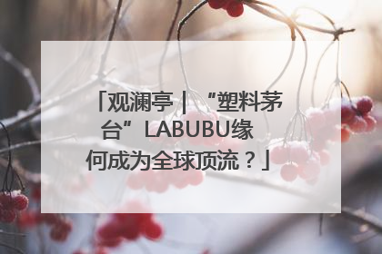 观澜亭｜“塑料茅台”LABUBU缘何成为全球顶流？