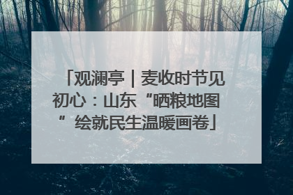 观澜亭｜麦收时节见初心：山东“晒粮地图”绘就民生温暖画卷