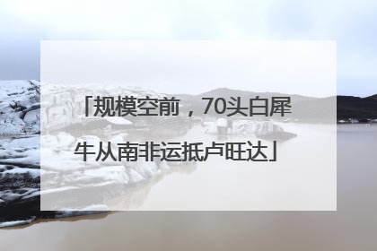 规模空前，70头白犀牛从南非运抵卢旺达